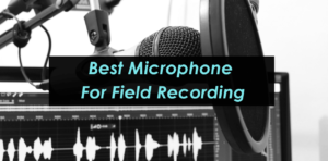 Best Microphone for Field Recording