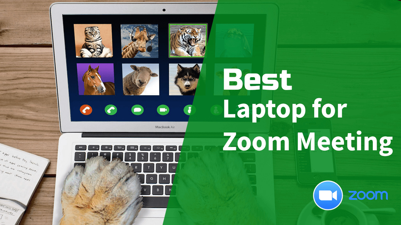 Best Laptop Of Zoom Under $300, $500 & $1000